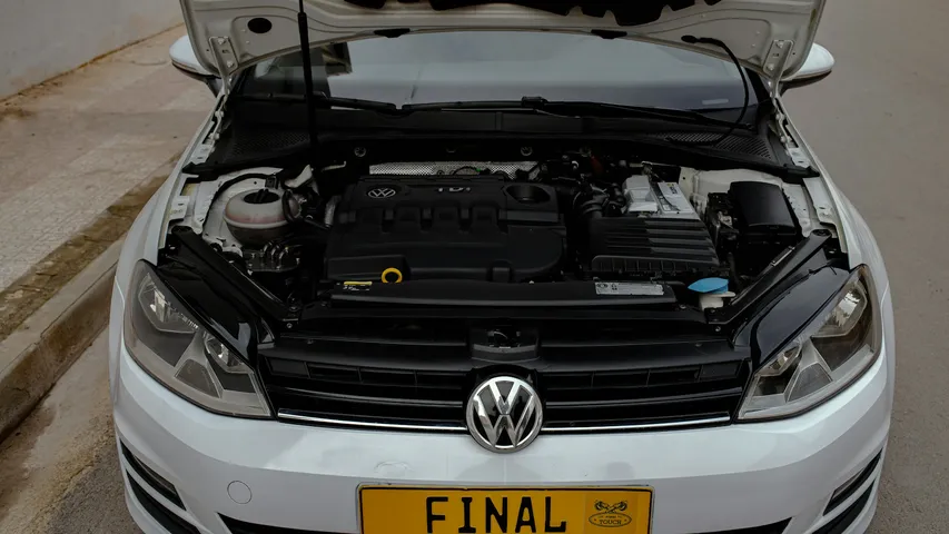 VAG Cooling System Health: Preventing the Common "Milkshake" and Overheating
